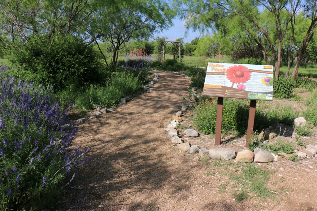Photo of butterfly garden with rock-lined path winding through shaded shrub area and sign about native plants
