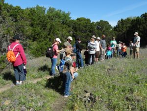A groups of adults and children on a path through an area of wildflowers with trees in the background.