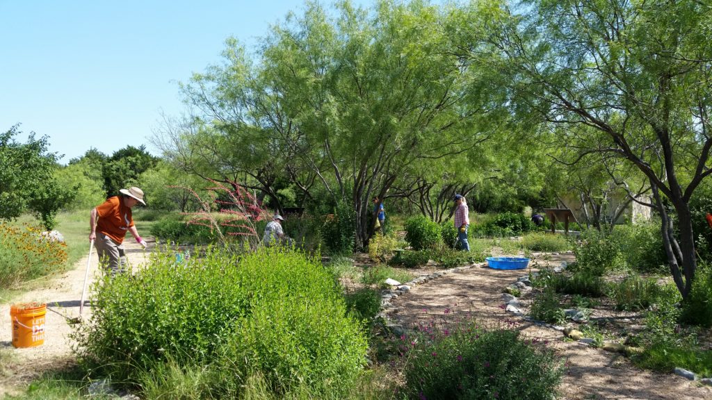 People with garden tools working in butterfly garden of trees, shrubs, flowers and paths.