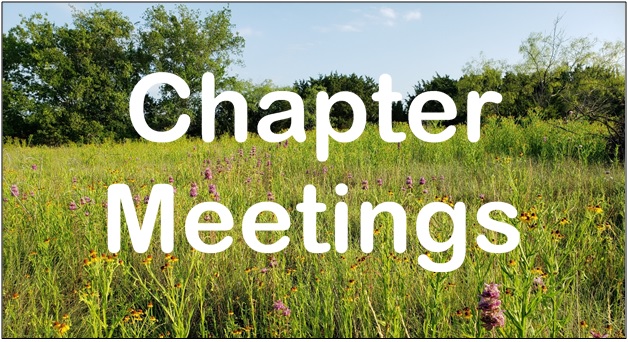 This image has an empty alt attribute; its file name is Chapter-meetings-column-header-1.jpg