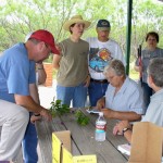 Members work with their field guides to help identify native plants.