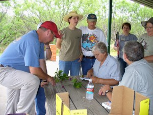 Members work with their field guides to help identify native plants.