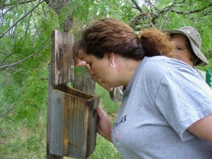 Tami checks out a blue bird box along the Nature Trail.