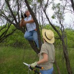 Patsy and Laura work on a tree on the Nature Trail.