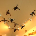Ducks "flying" inside the new Hacberry Flats Visitor Center.