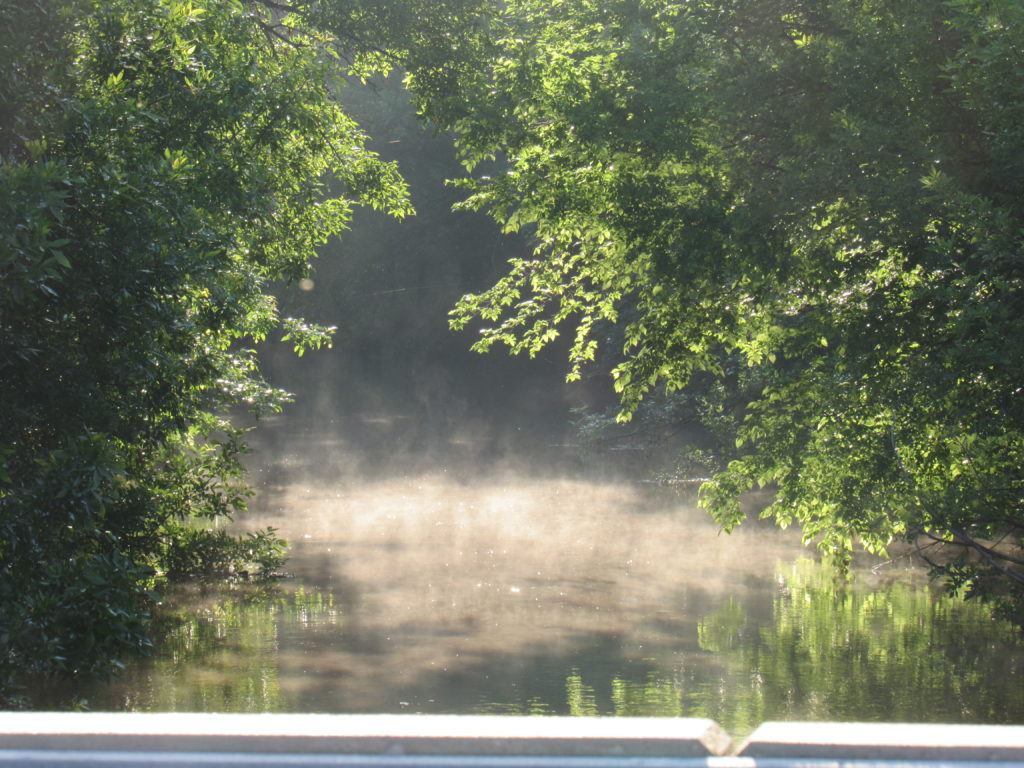 fog over Sloop Creek