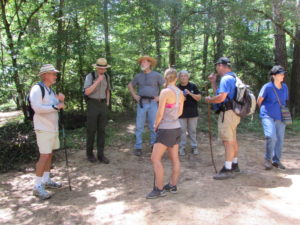 Hiking the Big Thicket