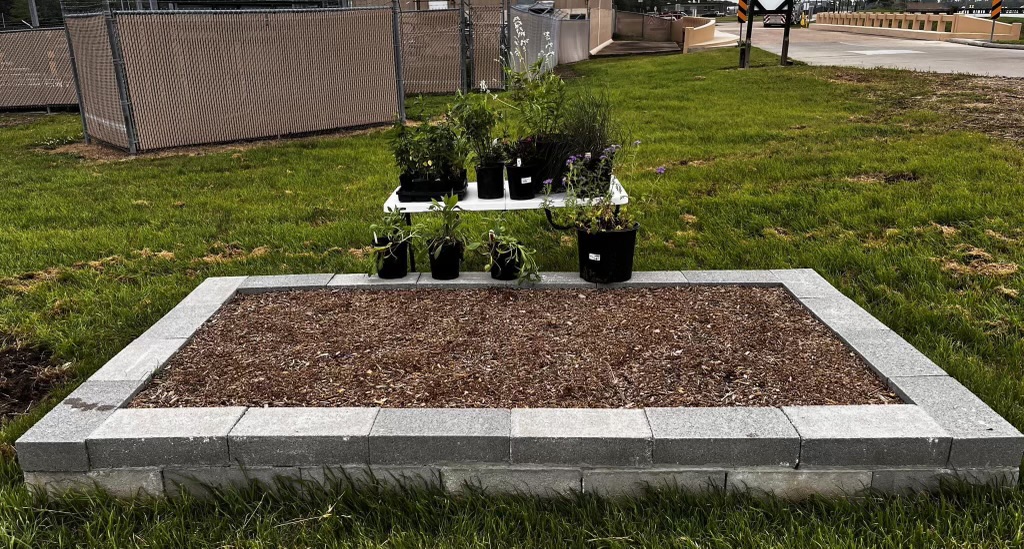 A raised garden bed made of cinder blocks with mulch and various green plants in black pots being staged for planting.