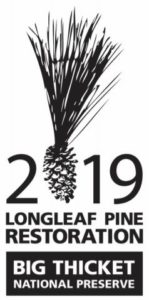 Longleaf Pine Planting 2019