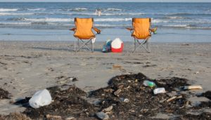 Enjoy the beach! (Photo from Sea Rim Park Facebook page)