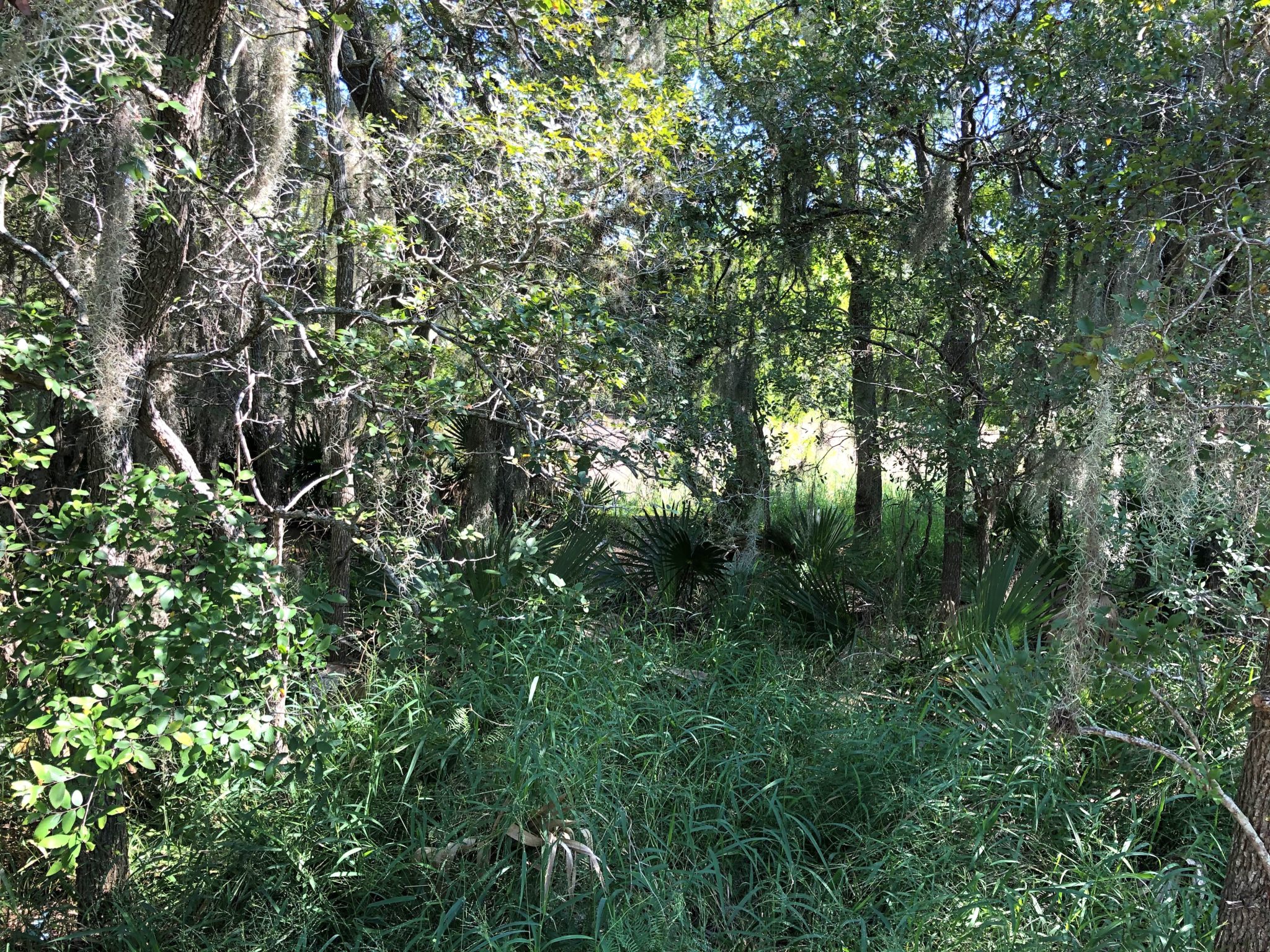 Hazel Bazemore County Park