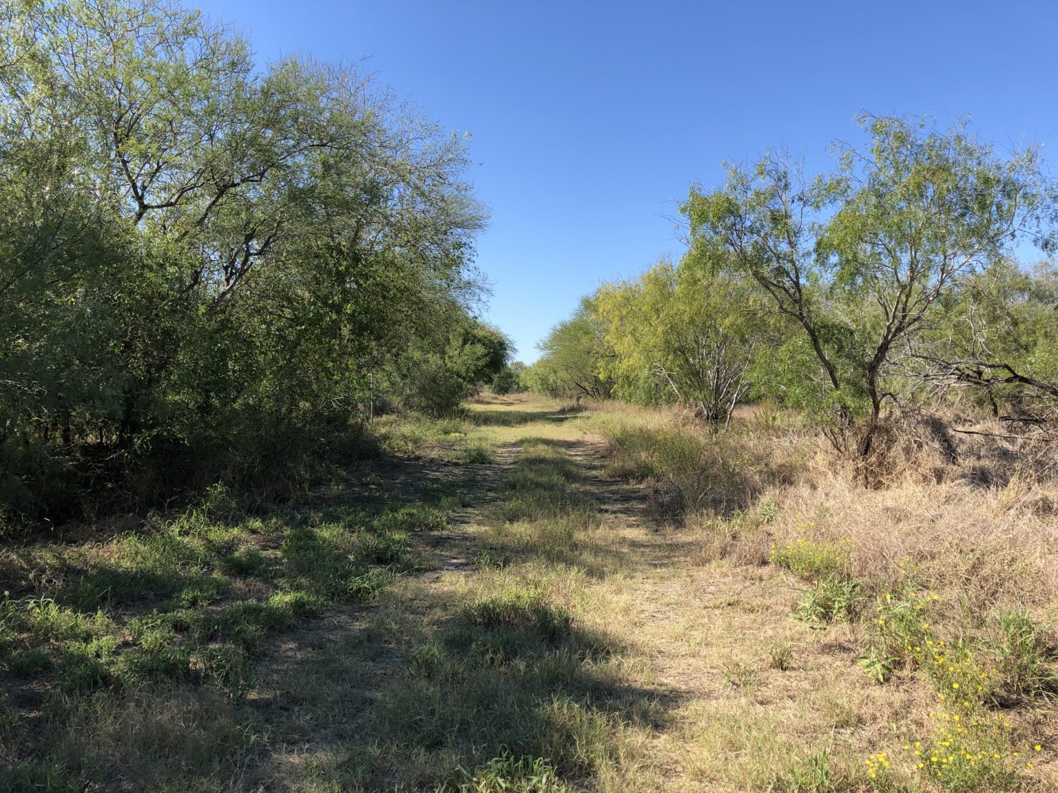 Nueces Delta Preserve