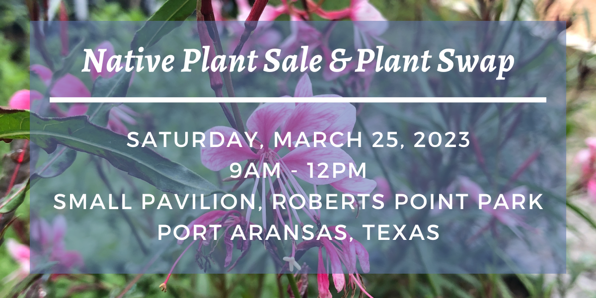 Plant Sale Flyer