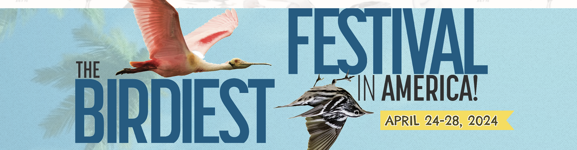 Birdiest Festival banner