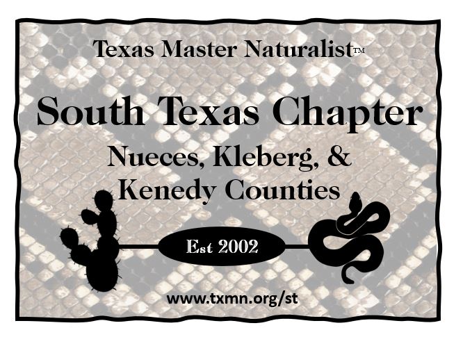 Owl Pellets – Rio Grande Valley Chapter Texas Master Naturalist