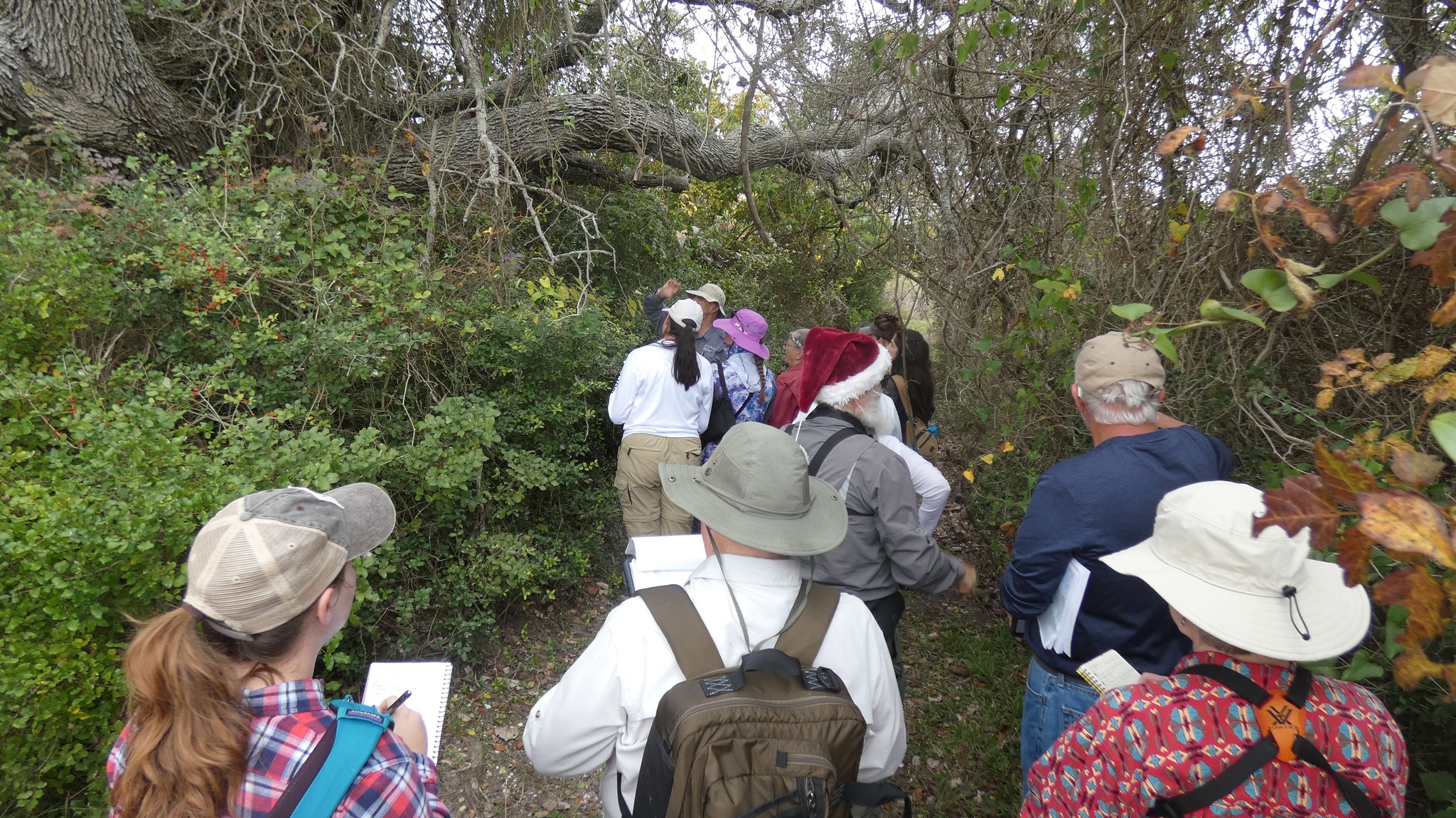 Nature walk at ANWR