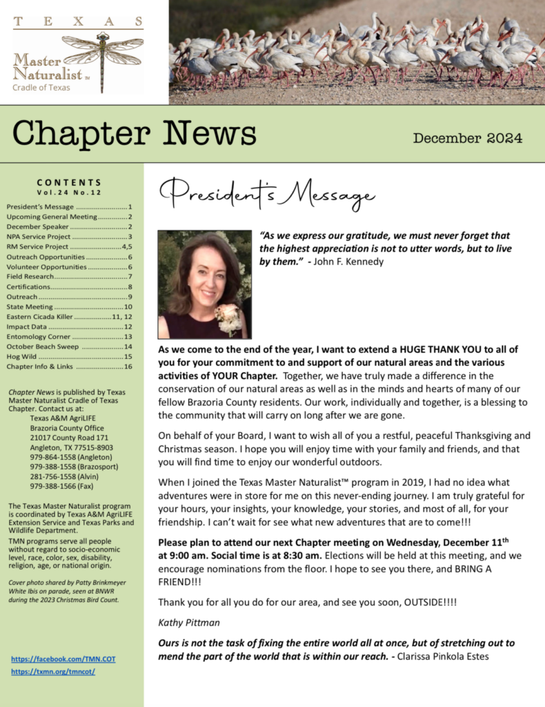 Newsletter December 2024