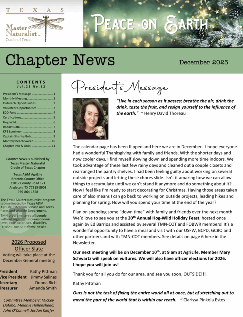 December 2025 newsletter